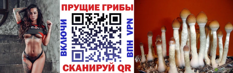 Псилоцибиновые грибы MAGIC MUSHROOMS  hydra зеркало  Агрыз 